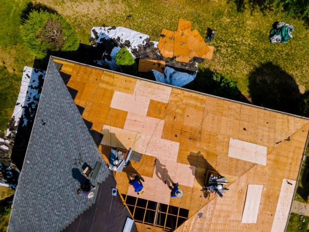 Best Metal Roofing Contractor  in Brookridge, FL