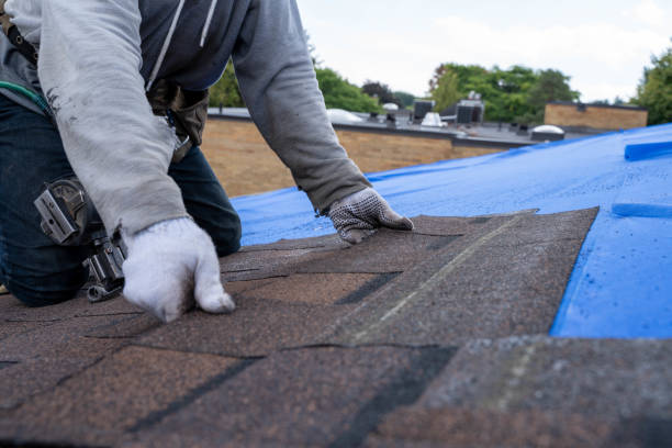 Best Gutter Installation and Roofing  in Brookridge, FL