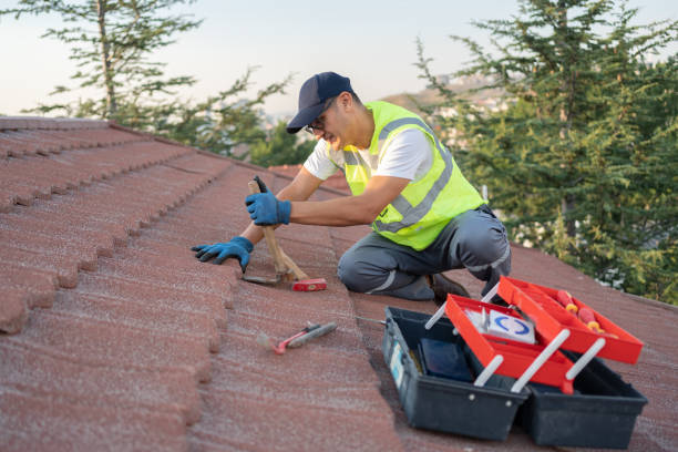 Best Residential Roofing Contractor  in Brookridge, FL